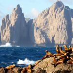 Pulau Farallon, Amerika Serikat: Fakta Menarik yang Perlu Diketahui